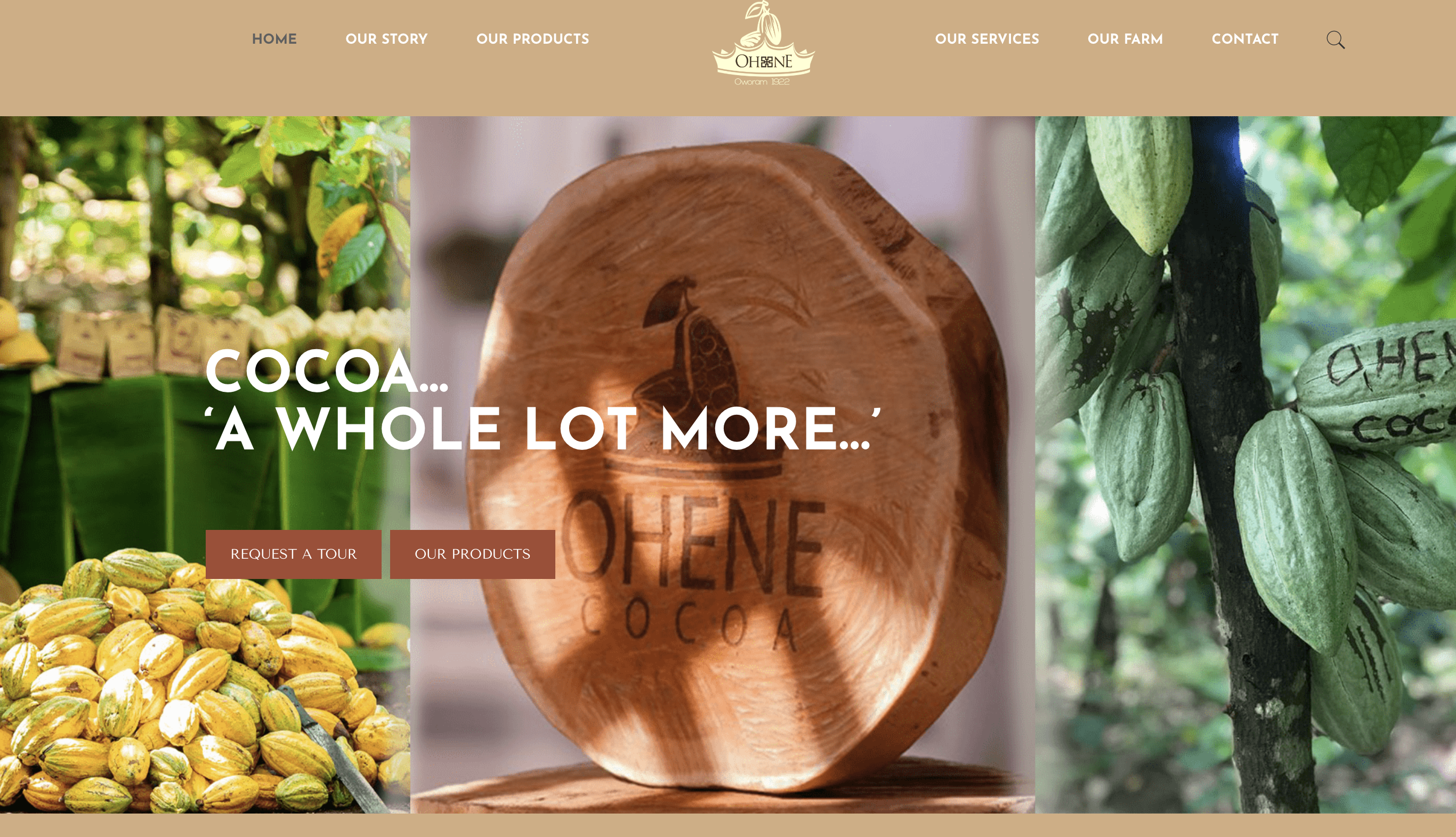 Ohene Cocoa Ghana case study